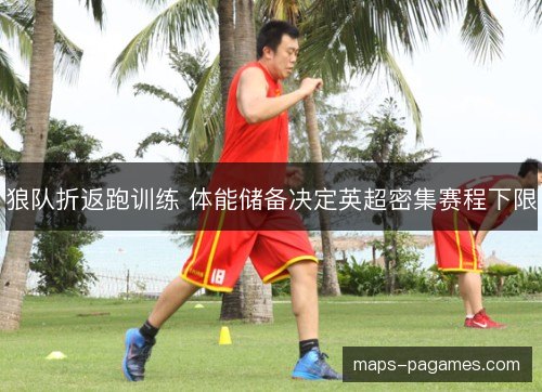 狼队折返跑训练 体能储备决定英超密集赛程下限 狼队折返跑训练 体能储备决定英超密集赛程下限